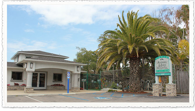 Animal & Bird Hospital of Del Mar Location